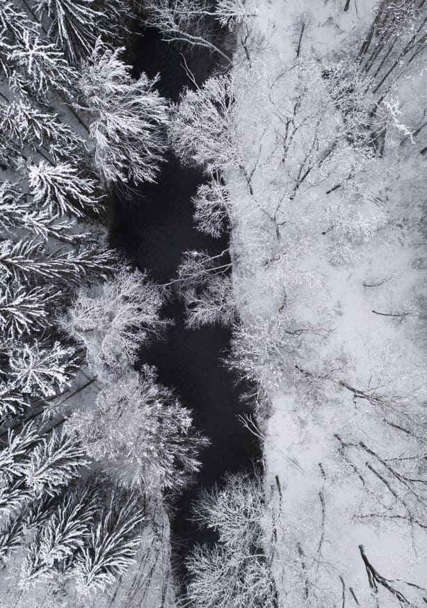Quadro Black River Through the Snowy Winter Forest - Obrah | Quadros e Posters para Transformar a Parede