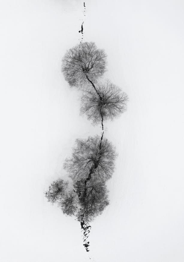 Quadro Trees At a Snowy Ice Stream - Obrah | Quadros e Posters para Transformar a Parede