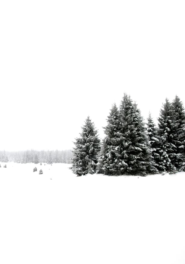 Quadro White White Winter 2 of 2 - Obrah | Quadros e Posters para Transformar a Parede
