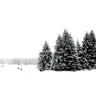 Quadro White White Winter 2 of 2 - Obrah | Quadros e Posters para Transformar a Parede