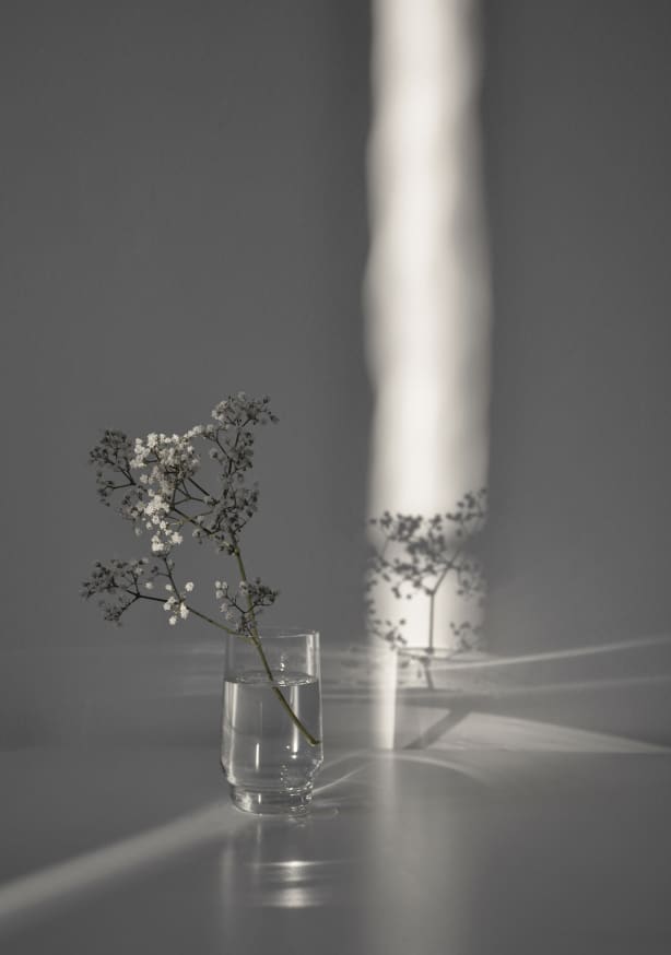 Quadro Flower Branch in a Magic Sunbeam - Obrah | Quadros e Posters para Transformar a Parede