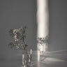 Quadro Flower Branch in a Magic Sunbeam - Obrah | Quadros e Posters para Transformar a Parede