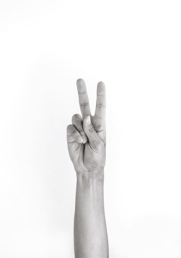 Quadro Hands 5 Vegan Peace - Obrah | Quadros e Posters para Transformar a Parede