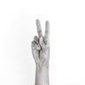 Quadro Hands 5 Vegan Peace - Obrah | Quadros e Posters para Transformar a Parede