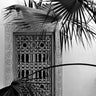 Quadro Orient Palms Garden Dreams Black & White Ed - Obrah | Quadros e Posters para Transformar a Parede