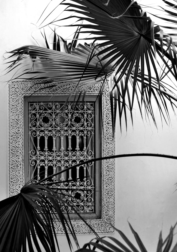 Quadro Orient Palms Garden Dreams Black & White Ed - Obrah | Quadros e Posters para Transformar a Parede
