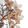 Quadro Snowy Hydrangea Flowers 1 of 2 Hortensie - Obrah | Quadros e Posters para Transformar a Parede