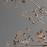 Quadro Sunshine Kissed Branches Greige Dried Flowers - Obrah | Quadros e Posters para Transformar a Parede