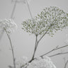Quadro White Greige Flower Blossoms - Obrah | Quadros e Posters para Transformar a Parede
