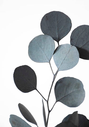 Quadro Blue Green Hues Dried Eucalyptus Branches 2 of 3