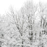 Quadro Snowy Winter View - Obrah | Quadros e Posters para Transformar a Parede