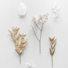 Quadro Stones Branches 3 - Obrah | Quadros e Posters para Transformar a Parede
