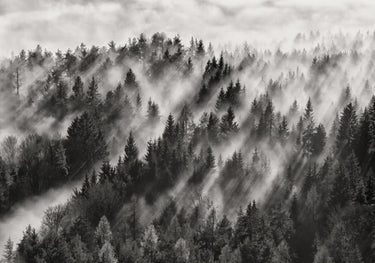 Quadro Sundance No.1 By Davorin Baloh - Obrah | Quadros e Posters para Transformar a Parede