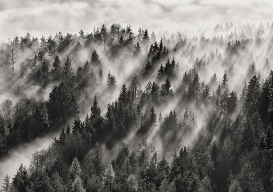 Quadro Sundance No.1 By Davorin Baloh - Obrah | Quadros e Posters para Transformar a Parede