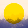 Quadro Sun Is Up - Obrah | Quadros e Posters para Transformar a Parede