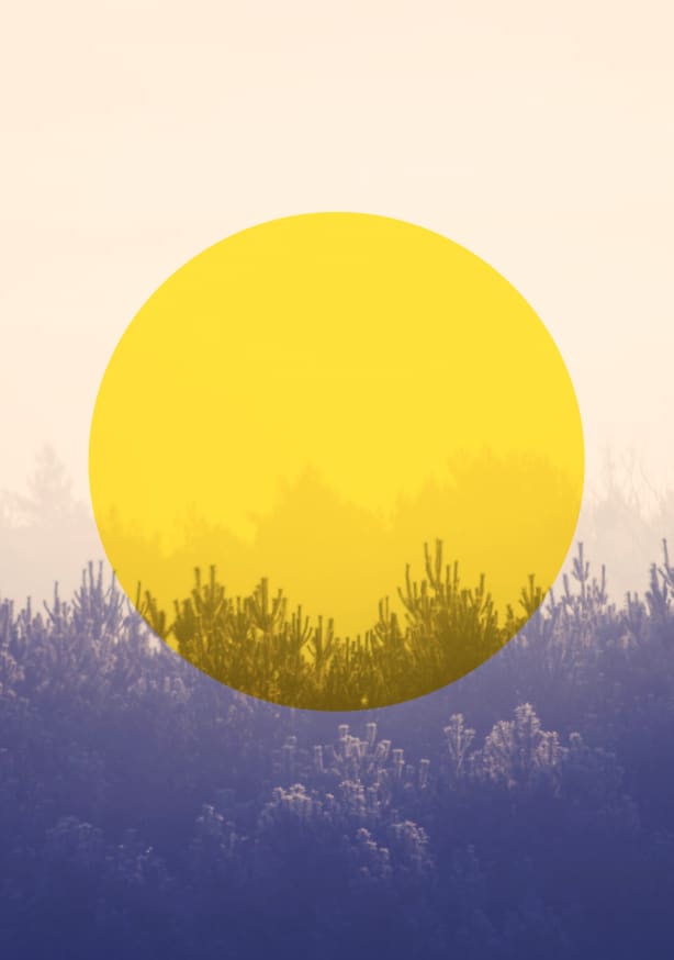 Quadro Sun Is Up - Obrah | Quadros e Posters para Transformar a Parede