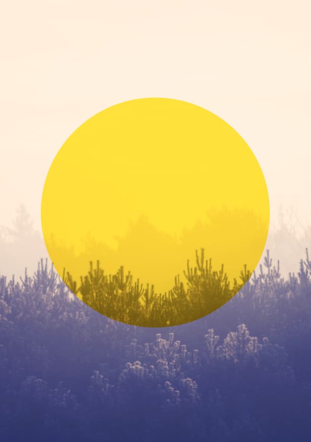 Quadro Sun Is Up