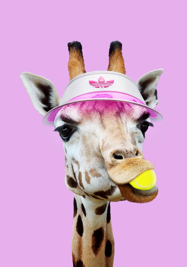 Quadro Tennis Giraffe