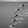 Quadro The Beauty of Diving by Greetje Van Son - Obrah | Quadros e Posters para Transformar a Parede