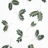Quadro The Beauty of Mother Nature - Obrah | Quadros e Posters para Transformar a Parede