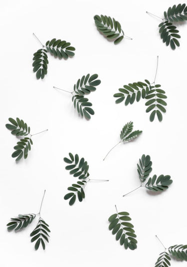 Quadro The Beauty of Mother Nature - Obrah | Quadros e Posters para Transformar a Parede