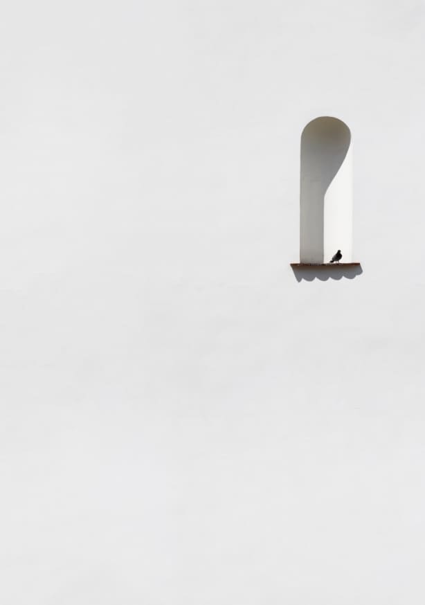 Quadro The Dove