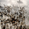 Quadro The Great Migration of China by Adam Wong - Obrah | Quadros e Posters para Transformar a Parede