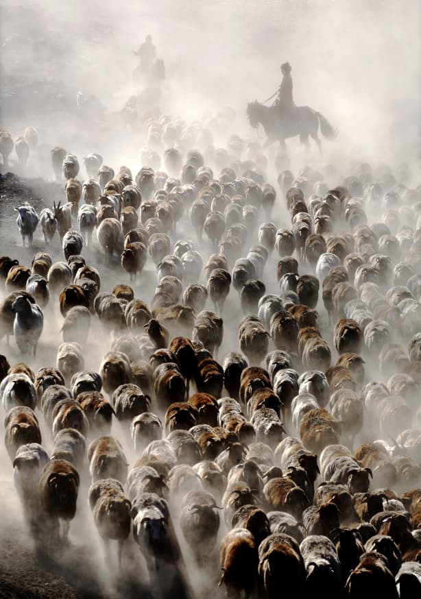 Quadro The Great Migration of China by Adam Wong - Obrah | Quadros e Posters para Transformar a Parede