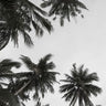 Quadro The Holiday View - Obrah | Quadros e Posters para Transformar a Parede