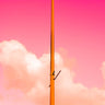 Quadro The Pink Half - Obrah | Quadros e Posters para Transformar a Parede