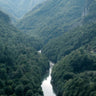 Quadro The River Through the Forest - Obrah | Quadros e Posters para Transformar a Parede