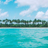 Quadro The Sea and the Coconut Grove - Obrah | Quadros e Posters para Transformar a Parede