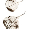 Quadro Fallen Leaves #2 - Obrah | Quadros e Posters para Transformar a Parede