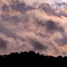 Quadro The Hula Valley #8 - Obrah | Quadros e Posters para Transformar a Parede