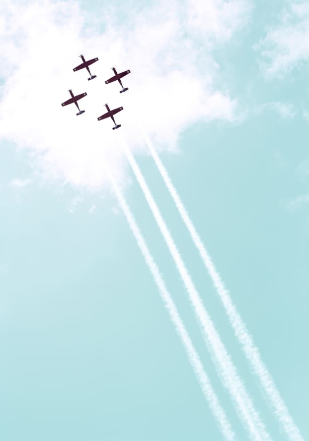Quadro Vintage IAF XIII