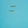 Quadro Seaside #29 - Obrah | Quadros e Posters para Transformar a Parede