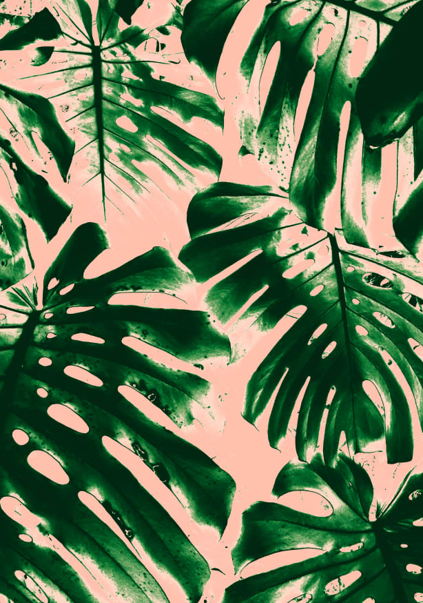 Quadro Tropical Greenery I