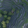 Quadro Tropical Risefields From Above - Obrah | Quadros e Posters para Transformar a Parede