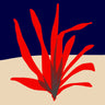 Quadro Twilight Bloom - Obrah | Quadros e Posters para Transformar a Parede