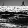 Quadro Two Sailboats - Obrah | Quadros e Posters para Transformar a Parede