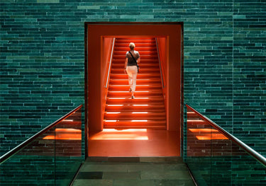 Quadro Up To the Light By Gerard Jonkman - Obrah | Quadros e Posters para Transformar a Parede