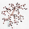 Quadro Vase Berries By 1x Studio III - Obrah | Quadros e Posters para Transformar a Parede