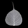 Quadro Veins of Life 2 White Leaf - Obrah | Quadros e Posters para Transformar a Parede