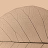 Quadro Veins of Life 3 Champagner Hues - Obrah | Quadros e Posters para Transformar a Parede