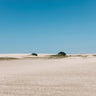Quadro Desert Green - Obrah | Quadros e Posters para Transformar a Parede