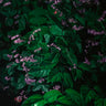 Quadro Green Leaves Purple Flowers - Obrah | Quadros e Posters para Transformar a Parede