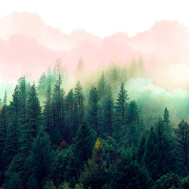 Quadro Watercolor Mountain - Obrah | Quadros e Posters para Transformar a Parede