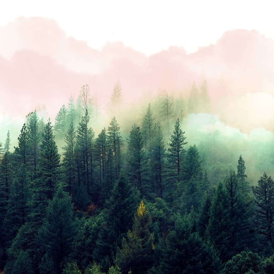 Quadro Watercolor Mountain - Obrah | Quadros e Posters para Transformar a Parede