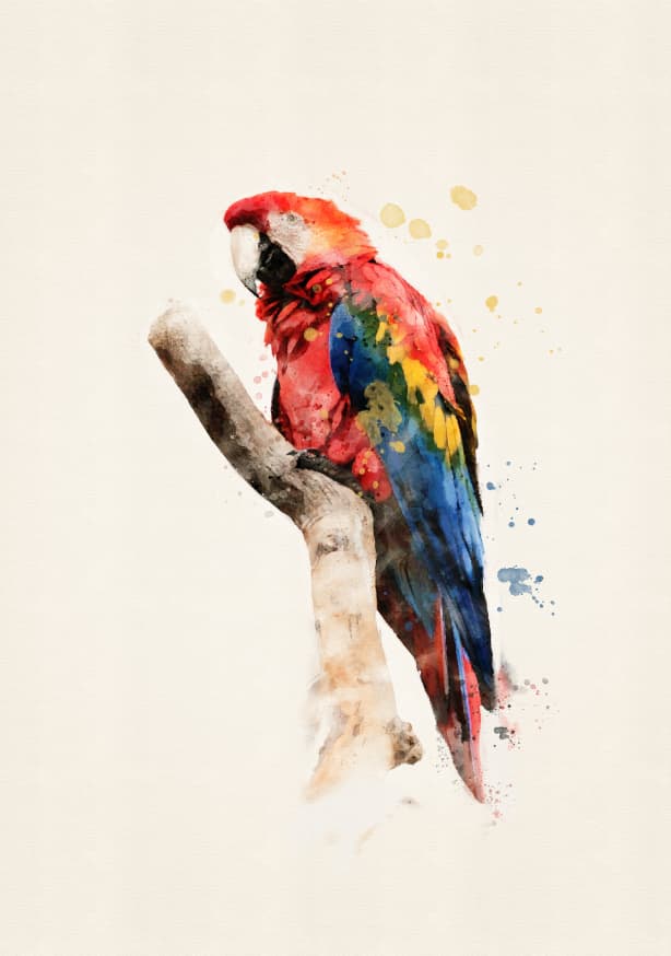 Quadro Watercolour Parrot - Obrah | Quadros e Posters para Transformar a Parede