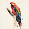 Quadro Watercolour Parrot - Obrah | Quadros e Posters para Transformar a Parede